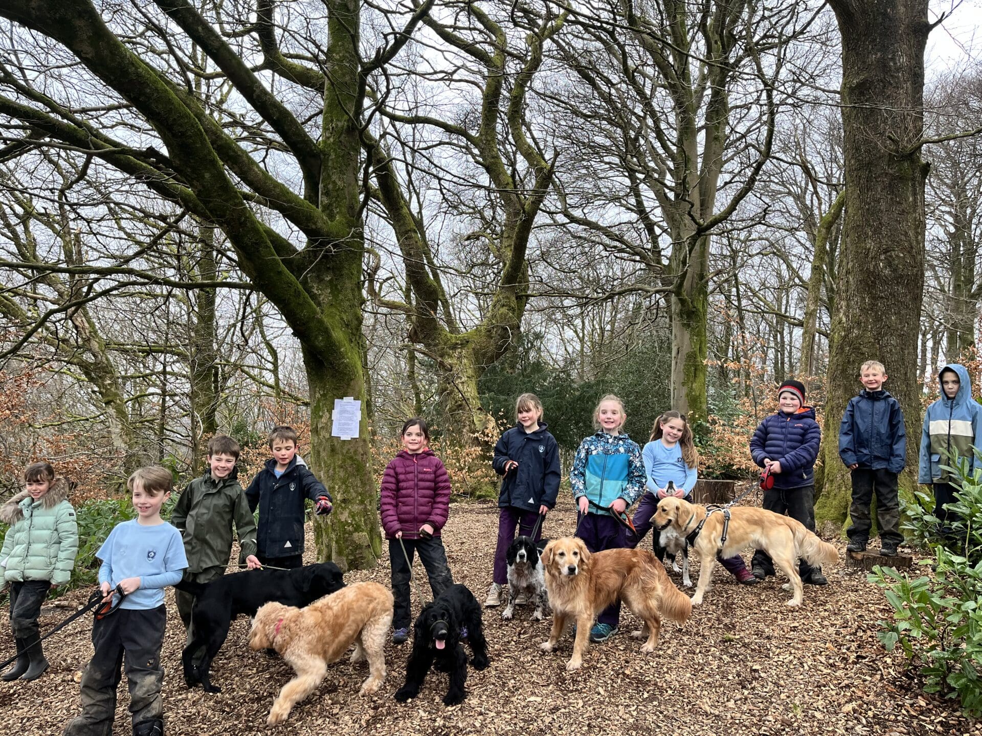 Windermere School Year 4 Parent Dog Walk