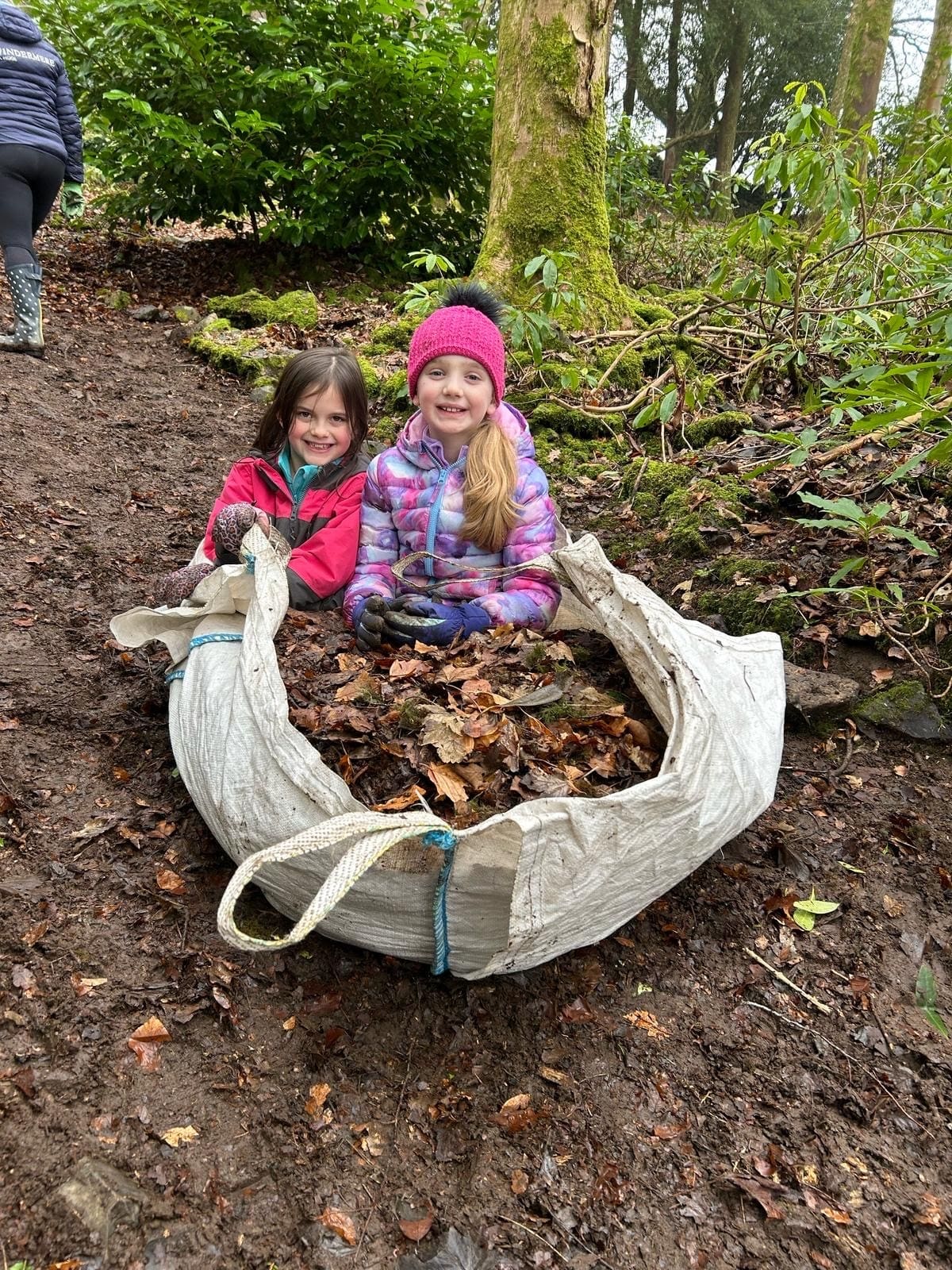 Windermere School Woodland Works Party